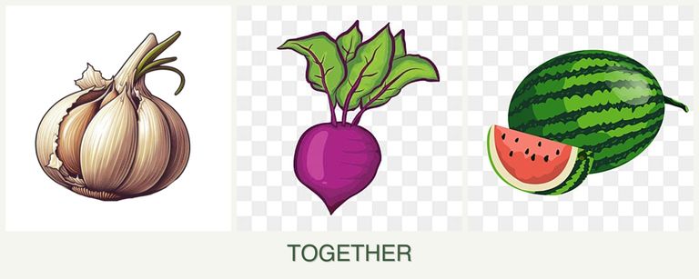 Can you plant garlic, beets and melons together?
