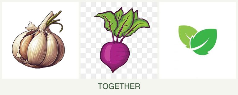 Can you plant garlic, beets and mint together?