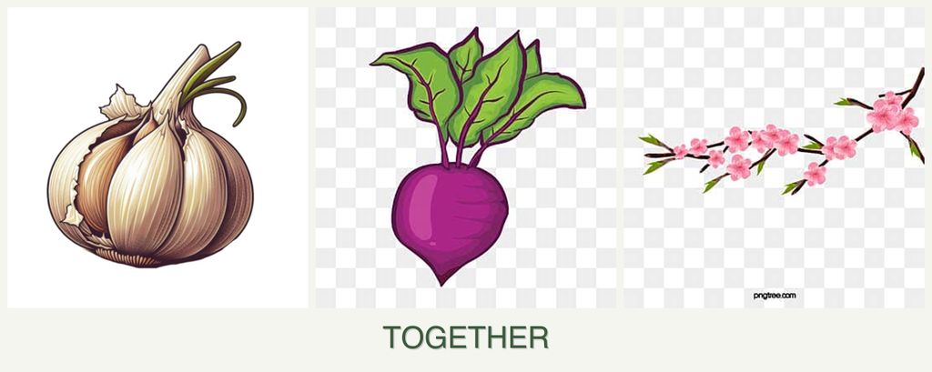 Can you plant garlic, beets and peaches together?