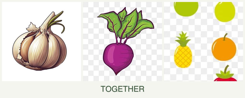 Can you plant garlic, beets and pears together?
