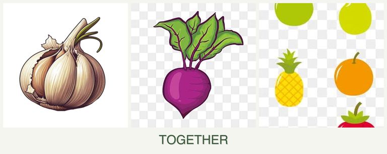Can you plant garlic, beets and pears together?