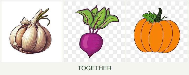 Can you plant garlic, beets and pumpkin together?