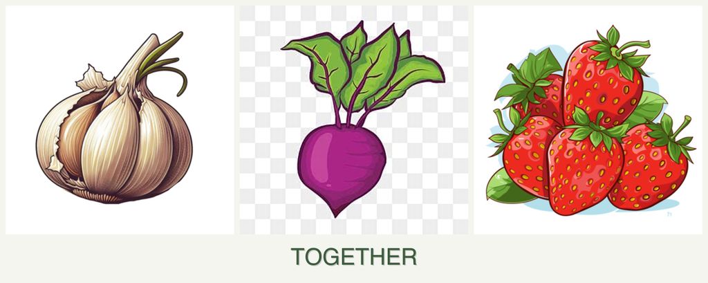 Can you plant garlic, beets and strawberries together?