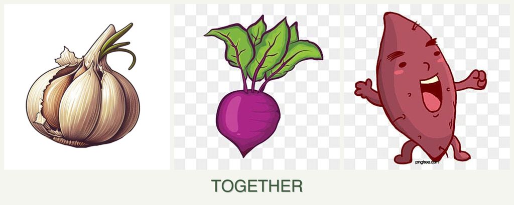 Can you plant garlic, beets and sweet potatoes together?