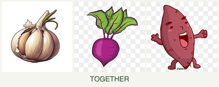 Can you plant garlic, beets and sweet potatoes together?
