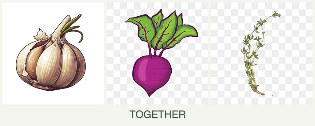 Can you plant garlic, beets and thyme together?