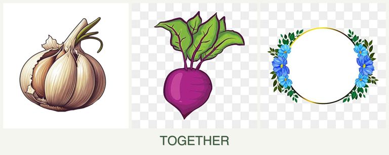 Can you plant garlic, beets and zinnias together?