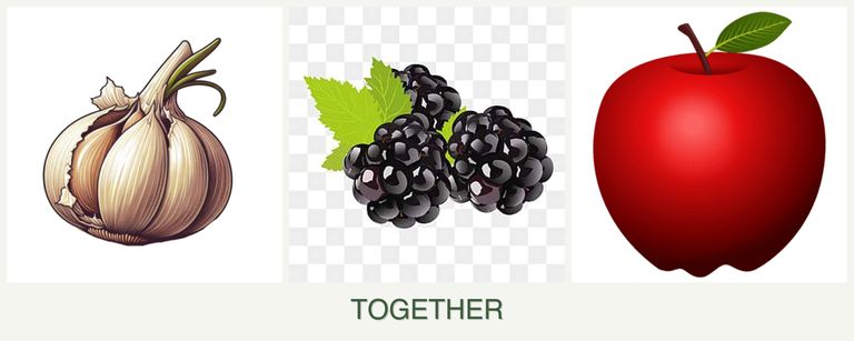 Can you plant garlic, blackberries and apples together?