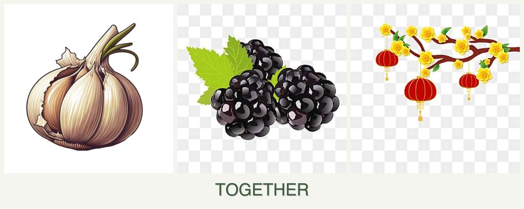 Can you plant garlic, blackberries and apricots together?