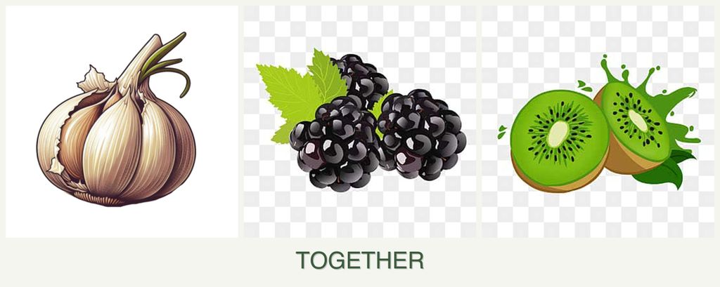 Can you plant garlic, blackberries and kiwi together?