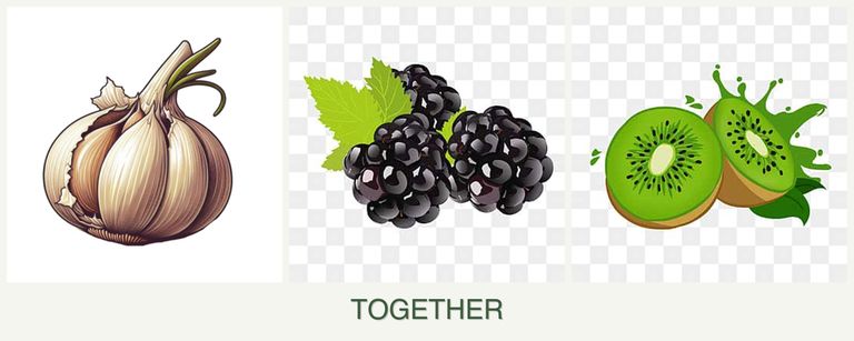 Can you plant garlic, blackberries and kiwi together?