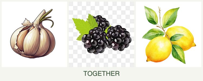 Can you plant garlic, blackberries and lemons together?