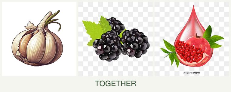 Can you plant garlic, blackberries and pomegranates together?