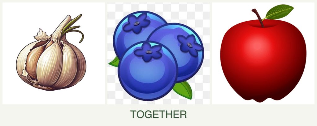 Can you plant garlic, blueberries and apples together?