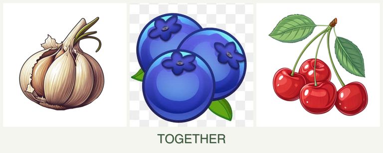 Can you plant garlic, blueberries and cherries together?