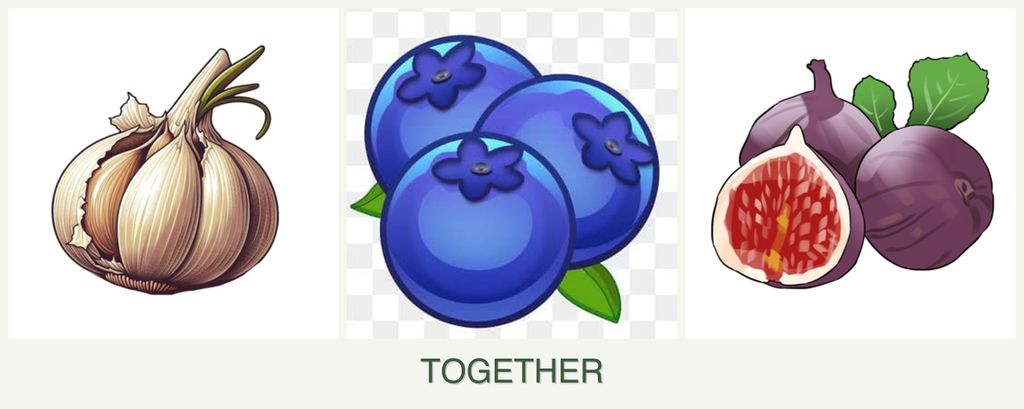 Can you plant garlic, blueberries and figs together?