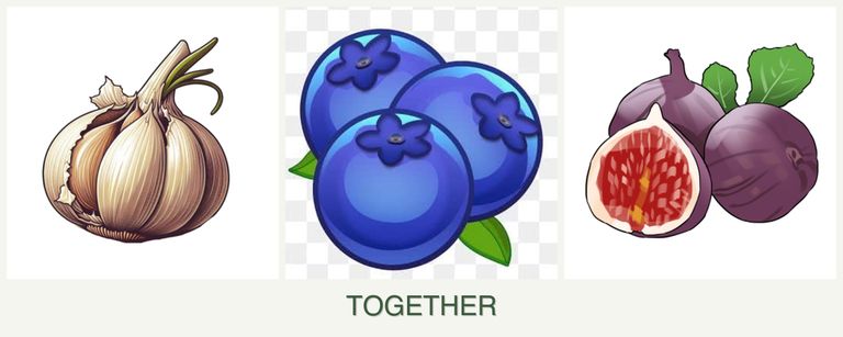 Can you plant garlic, blueberries and figs together?