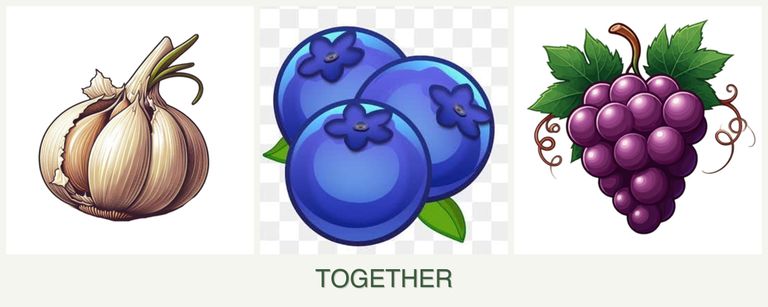 Can you plant garlic, blueberries and grapes together?