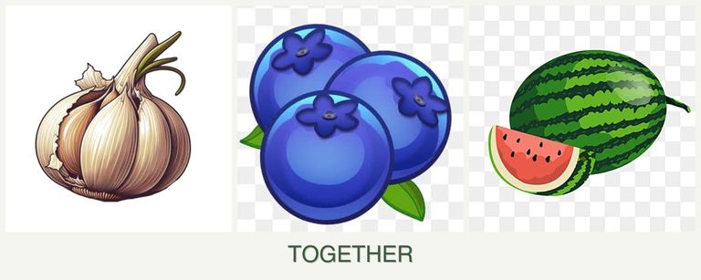 Can you plant garlic, blueberries and melons together?