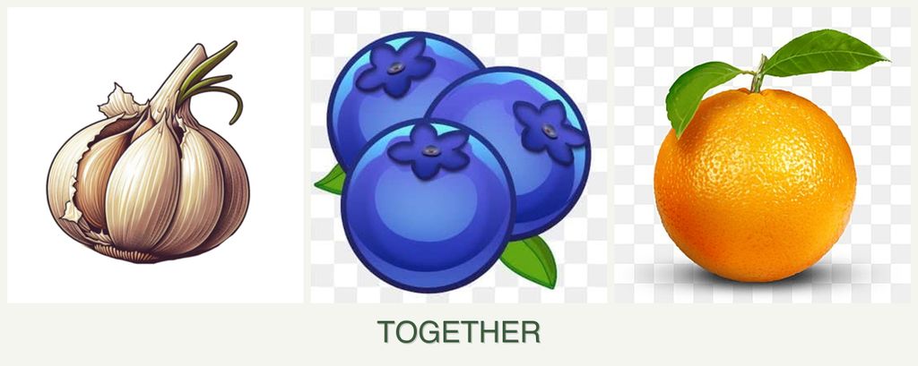 Can you plant garlic, blueberries and oranges together?