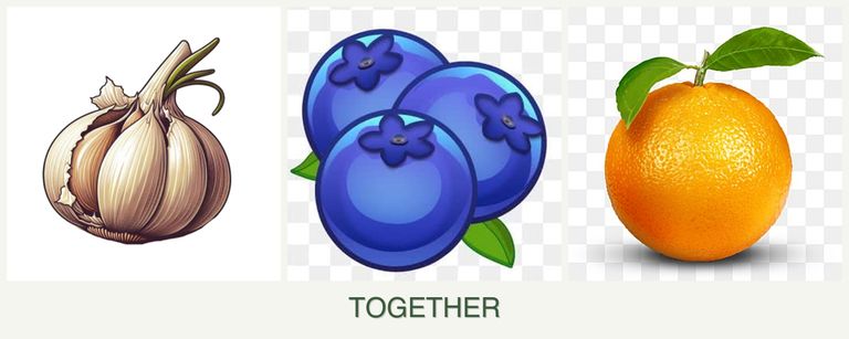 Can you plant garlic, blueberries and oranges together?