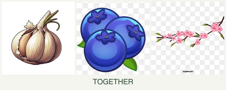 Can you plant garlic, blueberries and peaches together?