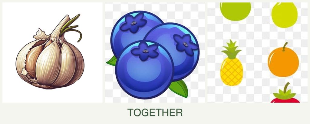 Can you plant garlic, blueberries and pears together?