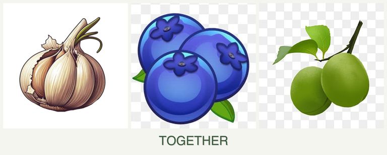 Can you plant garlic, blueberries and plums together?