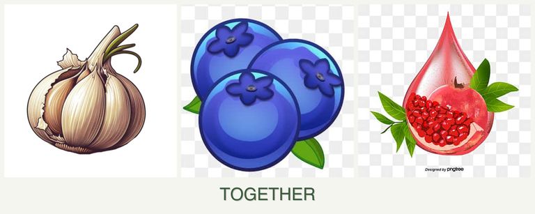 Can you plant garlic, blueberries and pomegranates together?