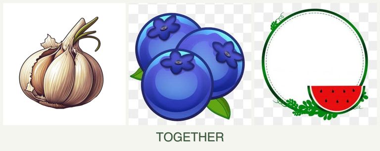 Can you plant garlic, blueberries and watermelons together?