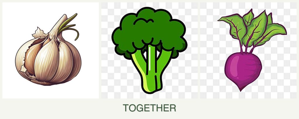 Can you plant garlic, broccoli and beets together?