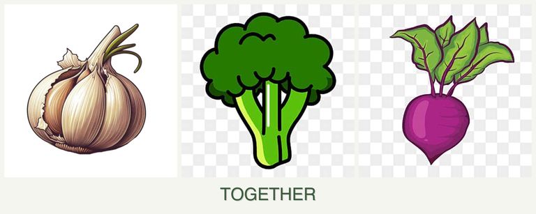 Can you plant garlic, broccoli and beets together?