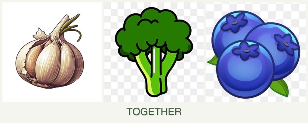 Can you plant garlic, broccoli and blueberries together?