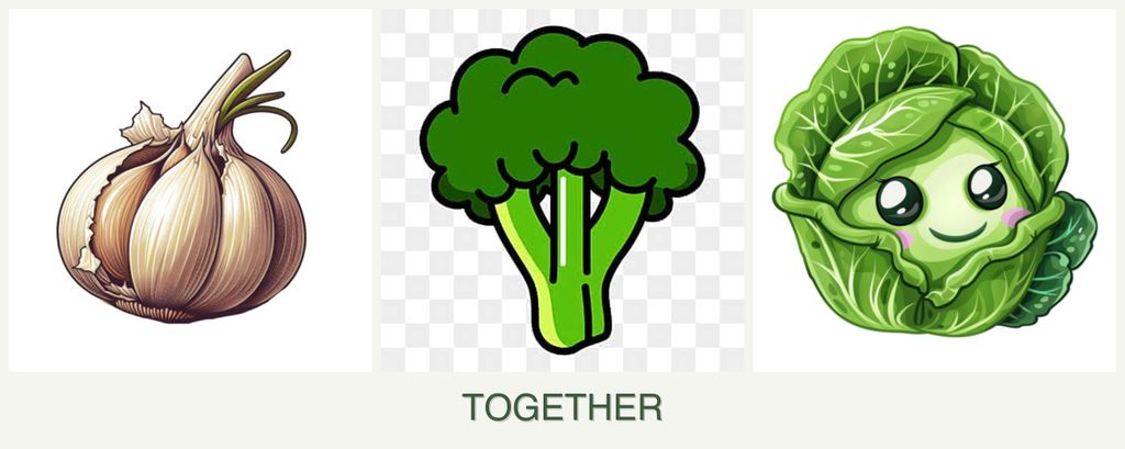 Can you plant garlic, broccoli and cabbage together?