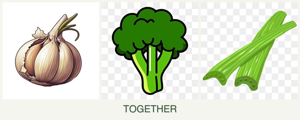 Can you plant garlic, broccoli and celery together?