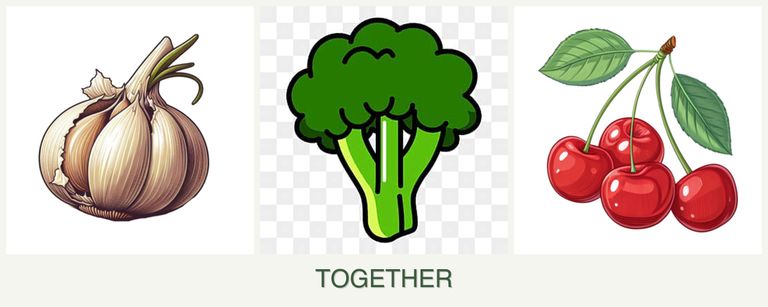 Can you plant garlic, broccoli and cherries together?
