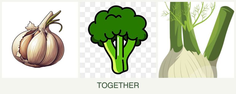 Can you plant garlic, broccoli and fennel together?