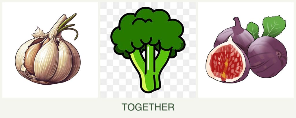 Can you plant garlic, broccoli and figs together?
