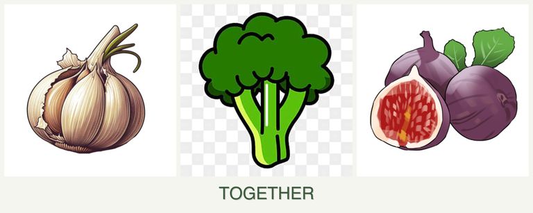 Can you plant garlic, broccoli and figs together?