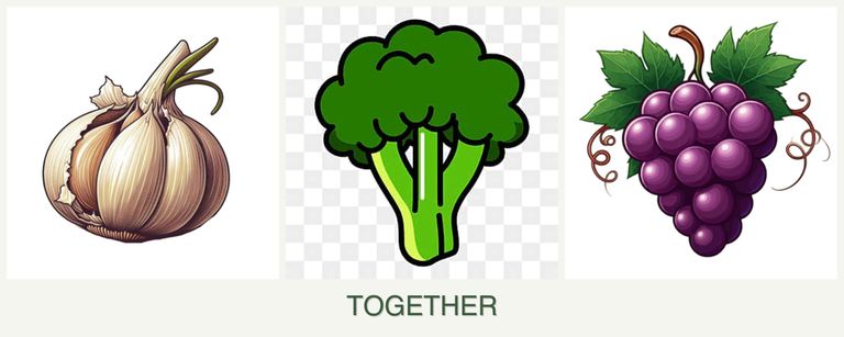 Can you plant garlic, broccoli and grapes together?