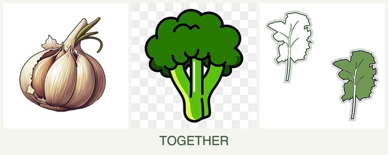 Can you plant garlic, broccoli and kale together?