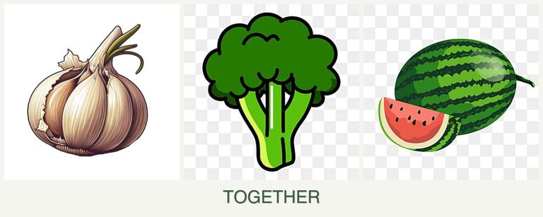 Can you plant garlic, broccoli and melons together?
