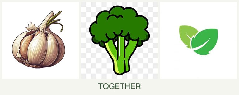 Can you plant garlic, broccoli and mint together?