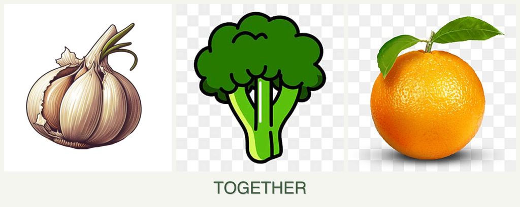 Can you plant garlic, broccoli and oranges together?