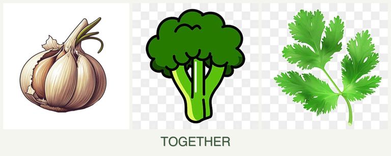 Can you plant garlic, broccoli and parsley together?