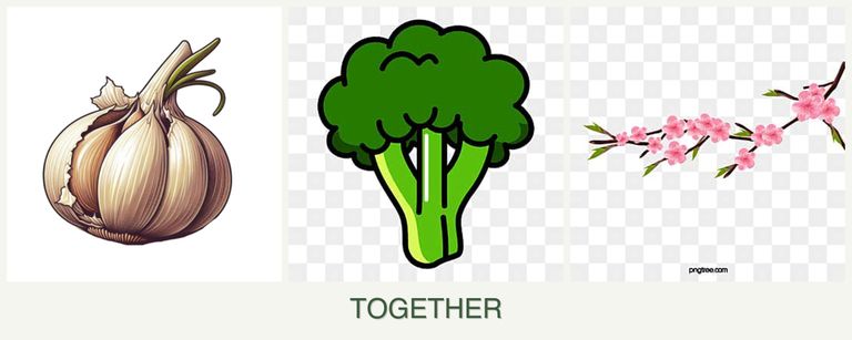 Can you plant garlic, broccoli and peaches together?