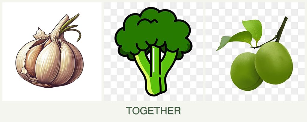 Can you plant garlic, broccoli and plums together?