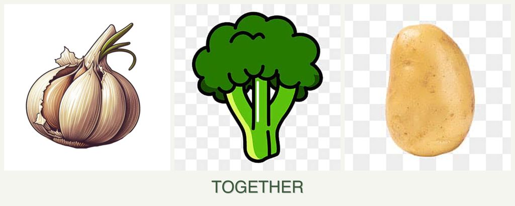 Can you plant garlic, broccoli and potatoes together?