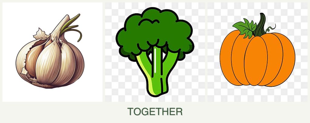 Can you plant garlic, broccoli and pumpkin together?