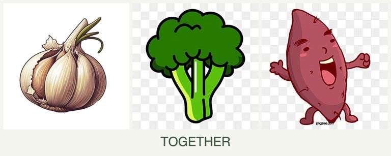 Can you plant garlic, broccoli and sweet potatoes together?